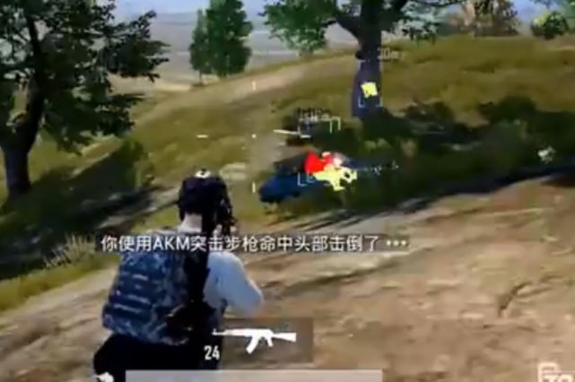 和平精英巡逻官制度_和平精英外挂治理_和平精英开挂app下载